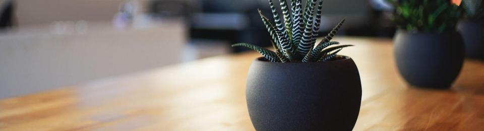 Twenty-Seventeen_header-wordpress