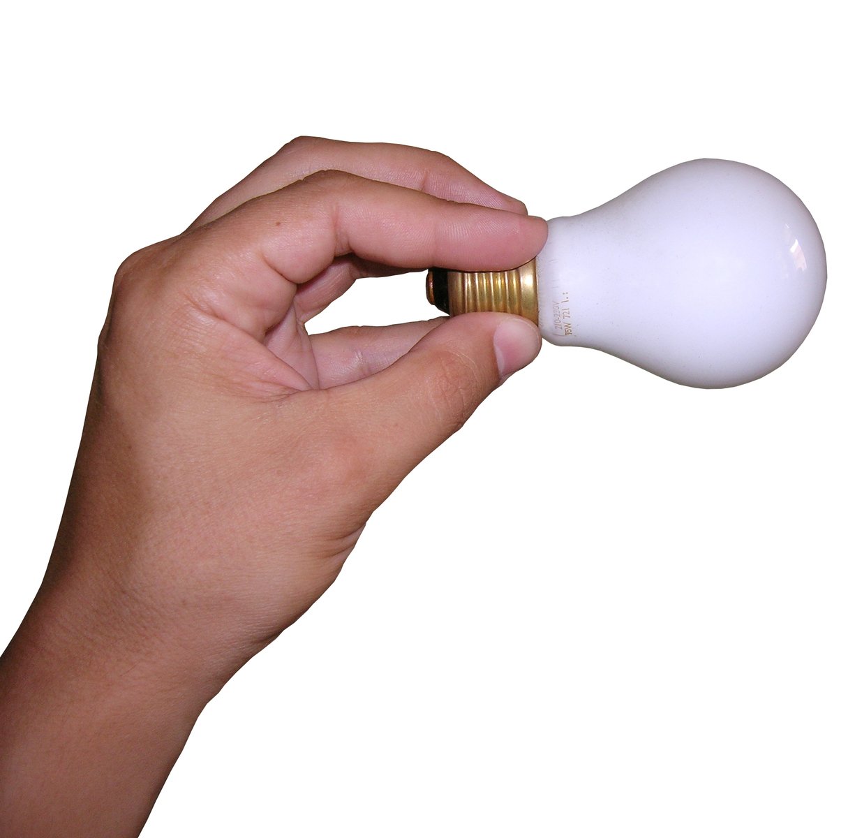 immagine lampadina in mano